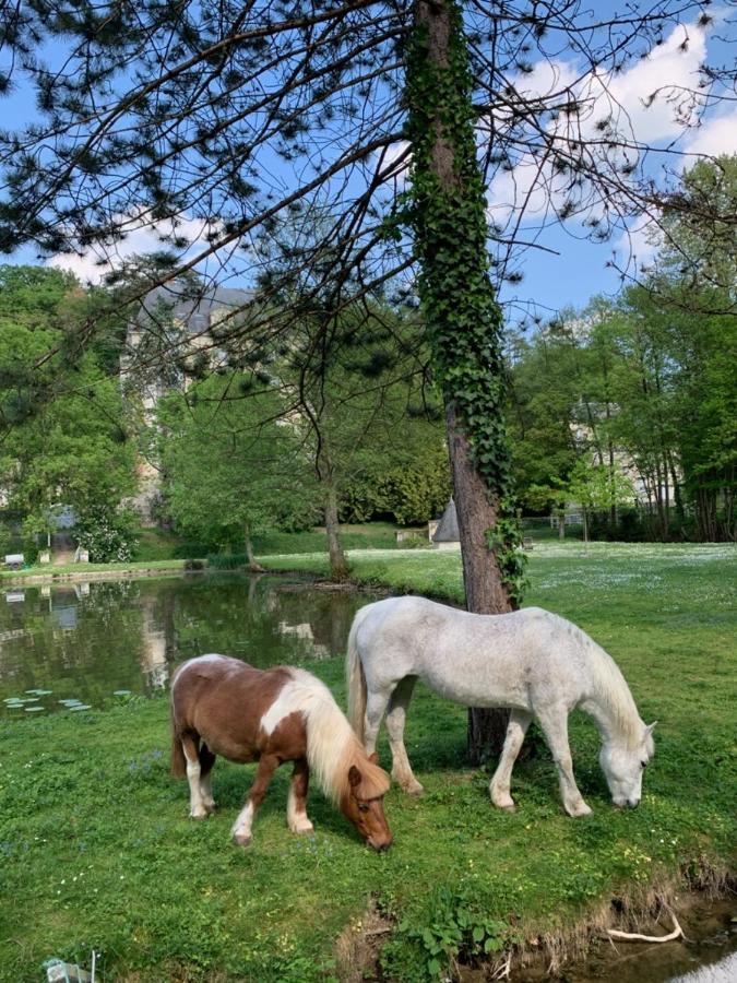 Gite Familial Chateau La Roche Racan Saint-Paterne-Racan 외부 사진